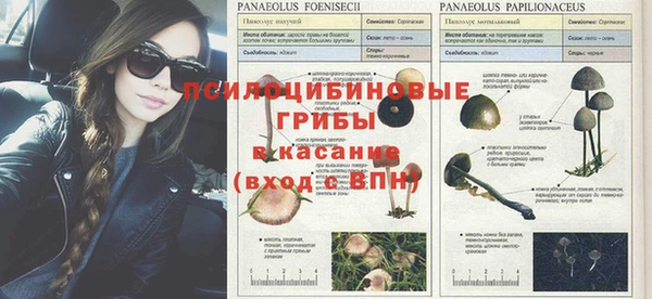 кокс Нефтегорск